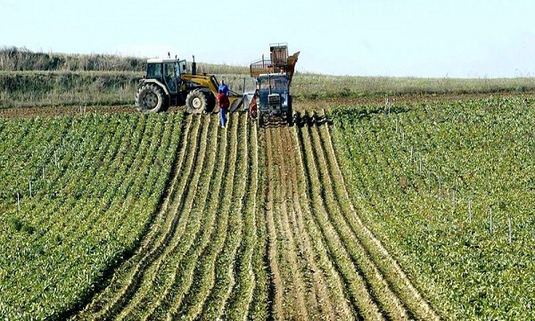 tecnologia-campo