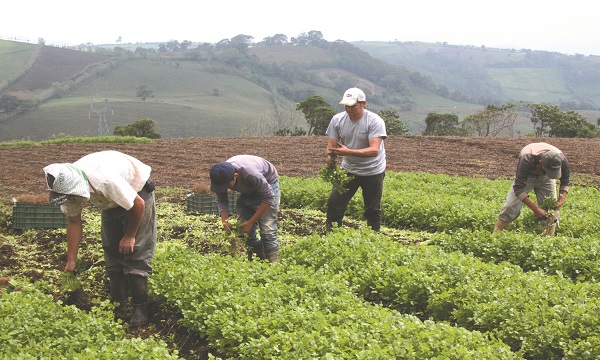Foto-Agro