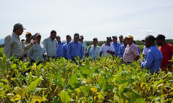 VISITA TECNICA CULTIVO DE SOYA SEP 2017 (1) ANCA