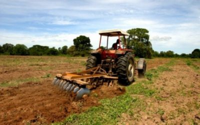 Fedeagro alerta sobre impacto de importaciones masivas y distorsión de precios en el campo venezolano