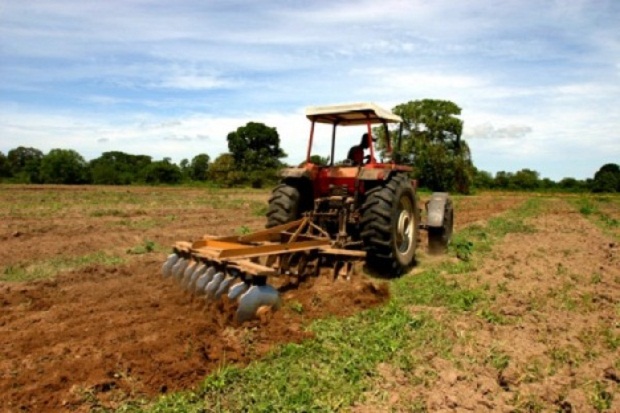 Fedeagro alerta sobre impacto de importaciones masivas y distorsión de precios en el campo venezolano