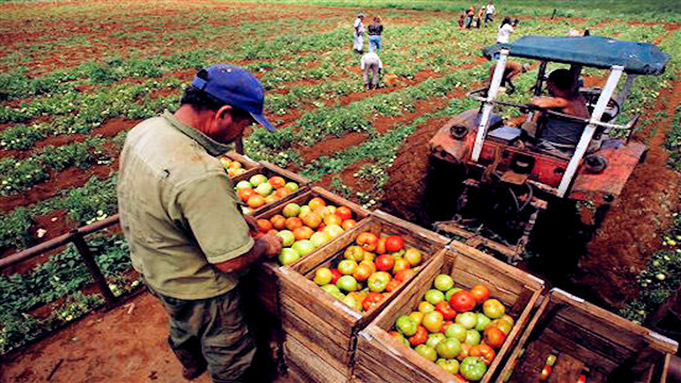 Producción Producción