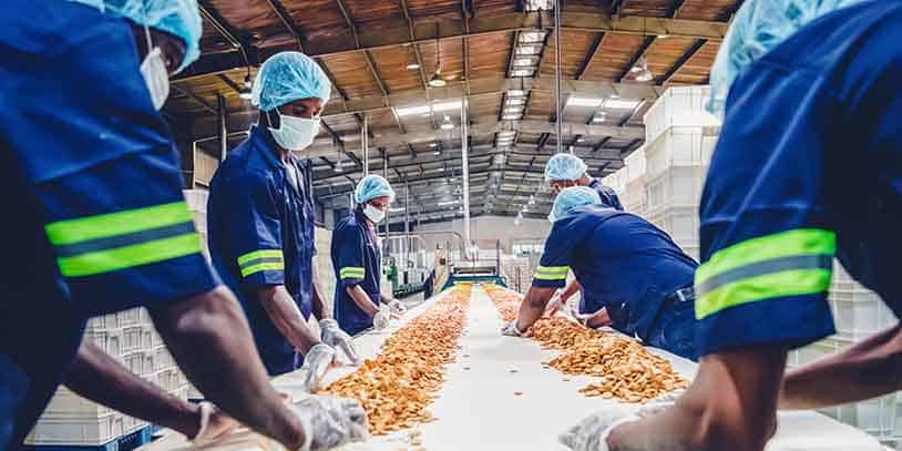 Trabajadores, tapabocas Trabajadores, tapabocas